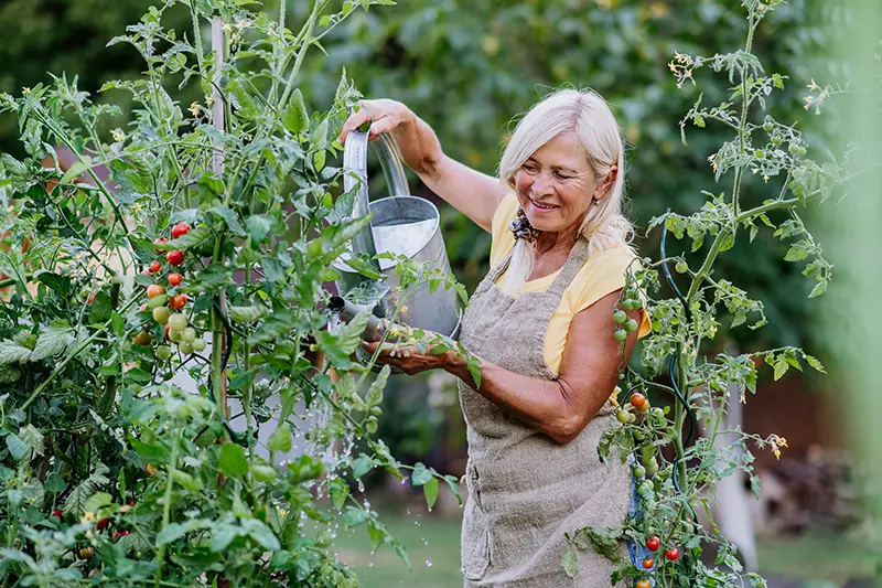 Colorado woman gardening